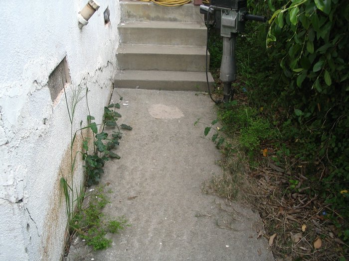 IMG_8853.JPG