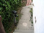 IMG_8850.JPG