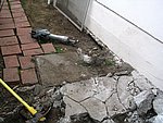 IMG_8855.JPG