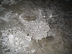 IMG_8861.JPG