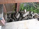 IMG_8865.JPG