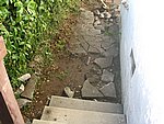 IMG_8866.JPG