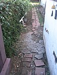 IMG_9406.JPG