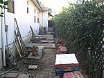 IMG_4779.JPG