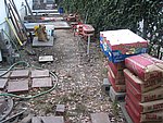 IMG_4780.JPG
