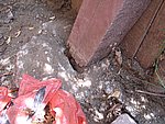 IMG_4953.JPG