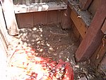 IMG_4956.JPG