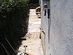 IMG_4957.JPG