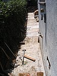IMG_4958.JPG