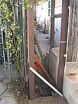 IMG_5098.JPG