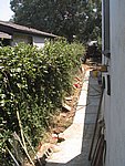 IMG_5101.JPG