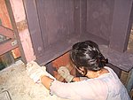 IMG_5166.JPG