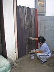 IMG_5173.JPG