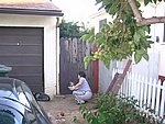 IMG_5174.JPG