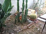 IMG_5378.JPG