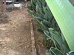 IMG_5379.JPG