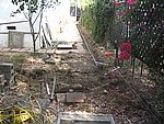IMG_5381.JPG