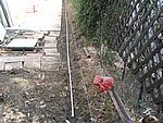 IMG_5382.JPG