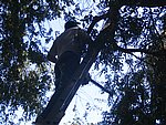 IMG_5554.JPG