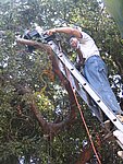 IMG_5559.JPG