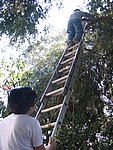 IMG_5560.JPG