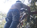 IMG_5561.JPG