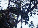 IMG_5564.JPG