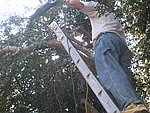 IMG_5569.JPG