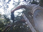IMG_5570.JPG