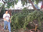 IMG_5571.JPG