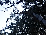 IMG_5572.JPG