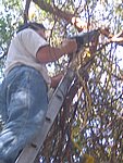 IMG_5579.JPG