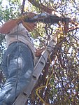 IMG_5580.JPG