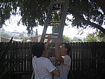 IMG_5590.JPG