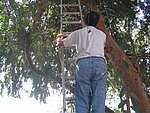IMG_5591.JPG