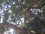 IMG_5592.JPG