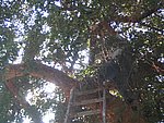 IMG_5593.JPG