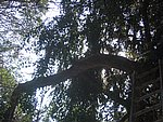 IMG_5595.JPG