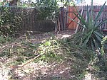 IMG_5596.JPG
