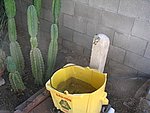 IMG_5619.JPG
