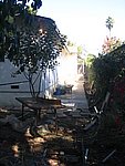 IMG_5669.JPG