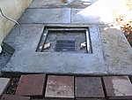 IMG_5673.JPG