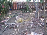 IMG_5686.JPG