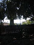 IMG_5687.JPG