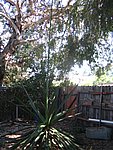 IMG_5688.JPG