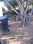 IMG_7145.JPG