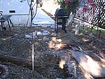 IMG_7146.JPG