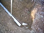 IMG_7149.JPG