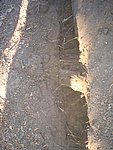 IMG_7157.JPG