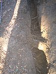 IMG_7158.JPG